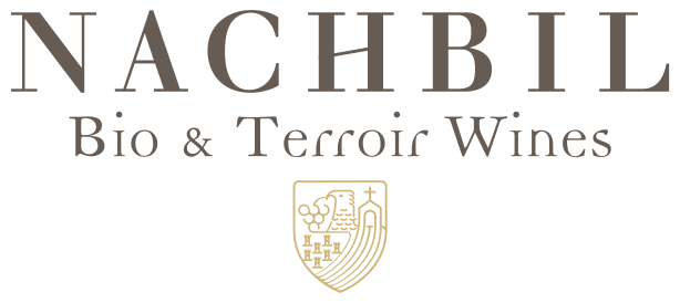 Nachbil
